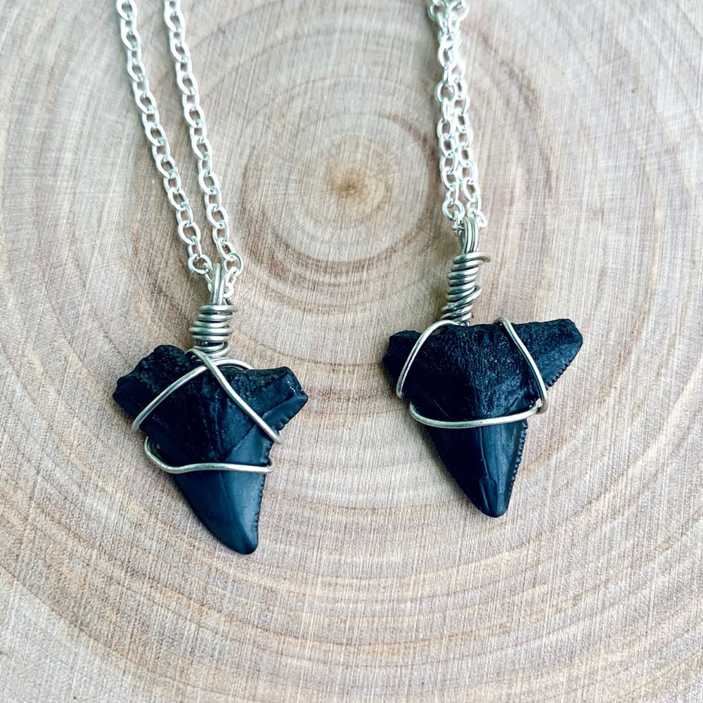 Wire Wrapped Shark Tooth Necklace - Picture 6 of 8